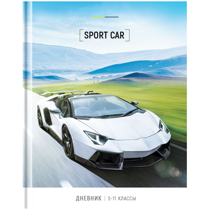 Дневник 5-11 кл. 48л. (твердый) ArtSpace "Sport style", матовая ламинация