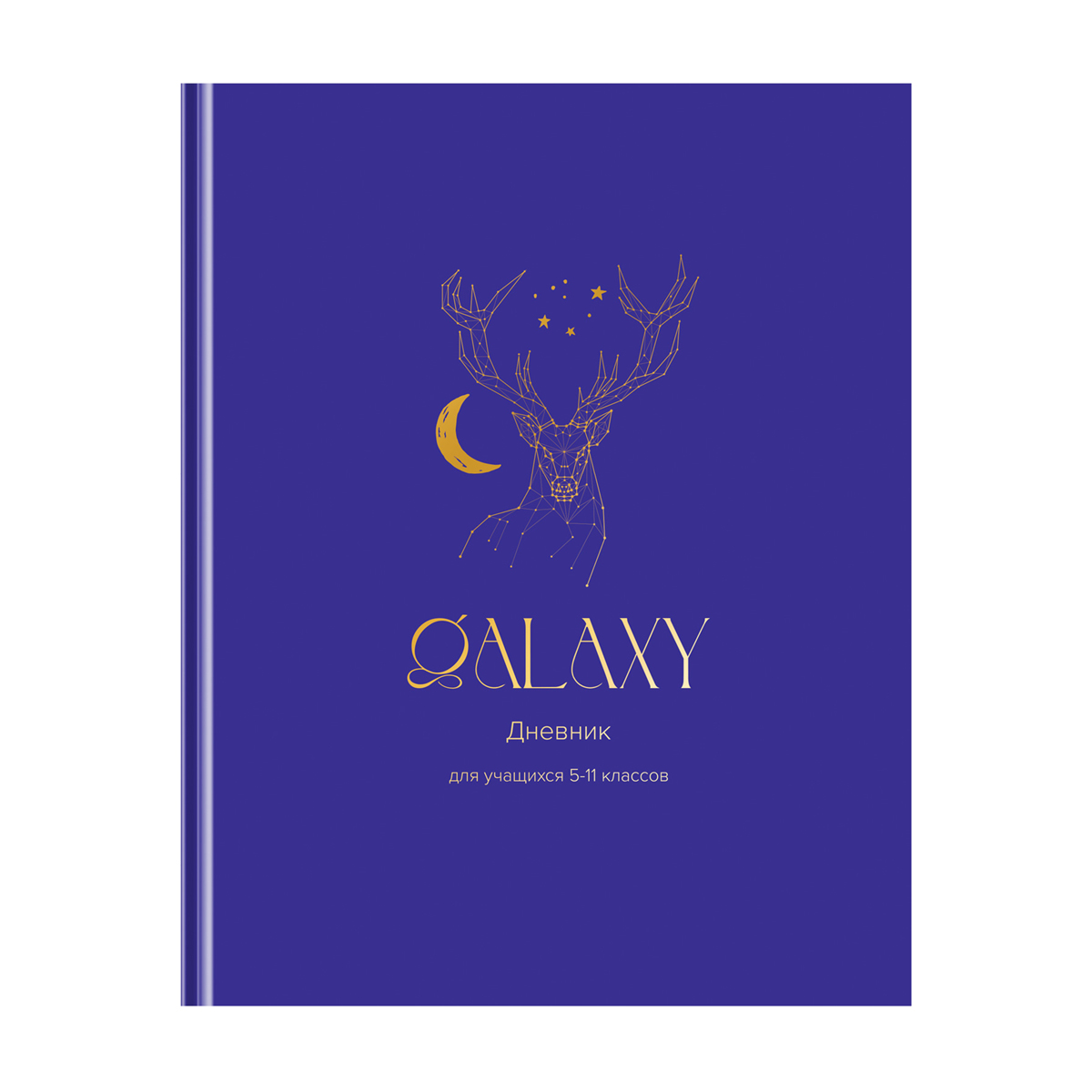 Дневник 5-11 кл. 48л. (твердый) BG "Galaxy", матовая ламинация, тиснение фольгой 