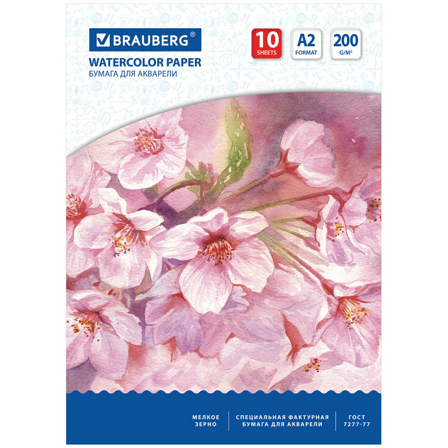 Папка для акварели А2 10л BRAUBERG Специальная 200г/м2