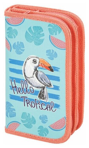 Пенал ПИФАГОР, 2 отделения, ламинированный картон, 19х11 см, "Tropical"