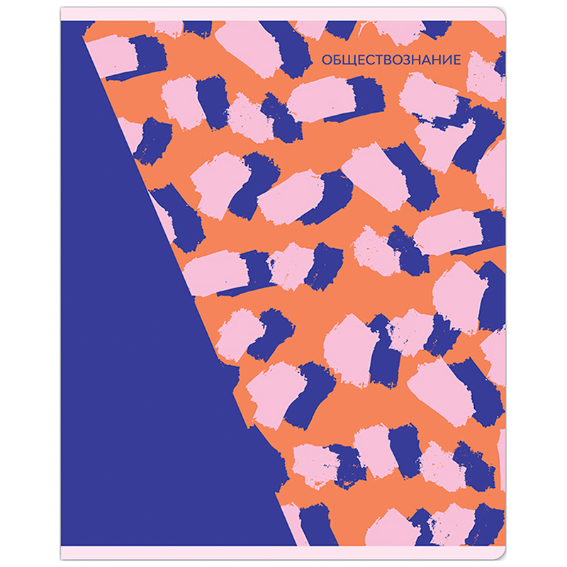Тетрадь предметная Обществознание MESHU "Bright splash" матовая ламинация, выборочный УФ-лак