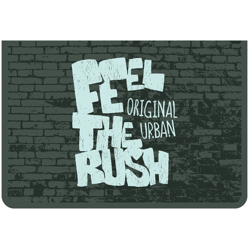 Папка для тетрадей 1 отделение, А4, ArtSpace "Rush", ламинированный картон,  на молнии