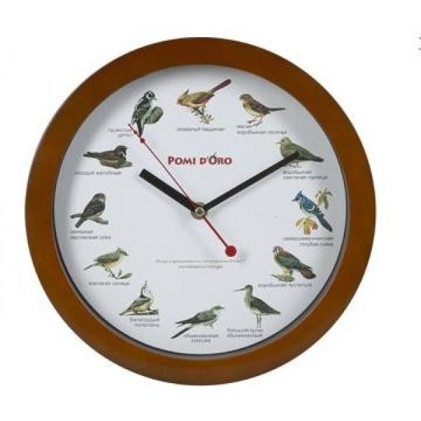 Часы пение птиц. Часы настенные Pomi d'Oro. Часы настенные птичьи трели. Часы с пением птиц настенные. Часы с циферблатом птички.