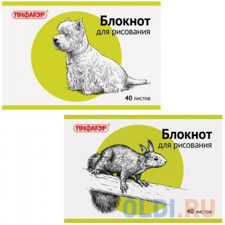 Альбом для рисования 40л А4 скрепка Пифагор. Животные, офсет