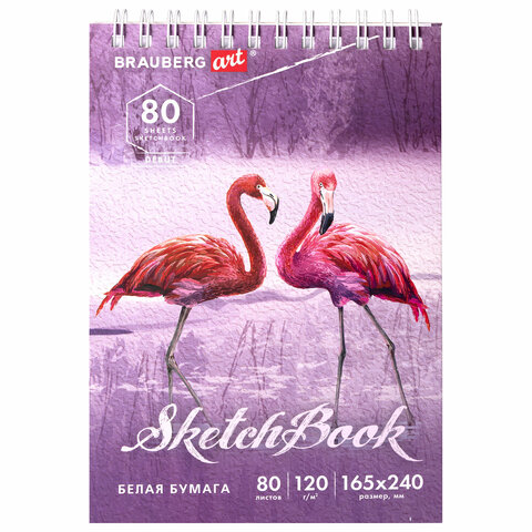 Скетчбук, белая бумага 120 г/м2 165х240 мм, 80 л., гребень, твердая обложка, BRAUBERG ART DEBUT