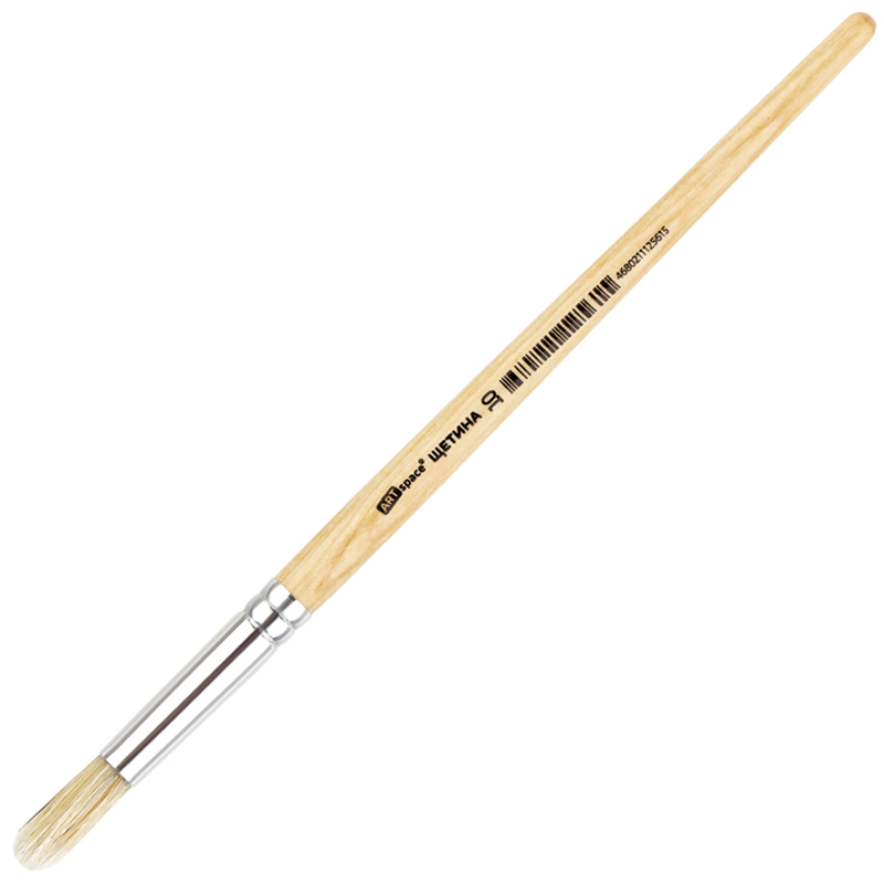 Кисть Щетина круглая №10 ArtSpace пакет, европодвес