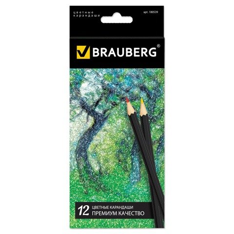 Карандаши 12цв BRAUBERG Class Master заточ карт/уп