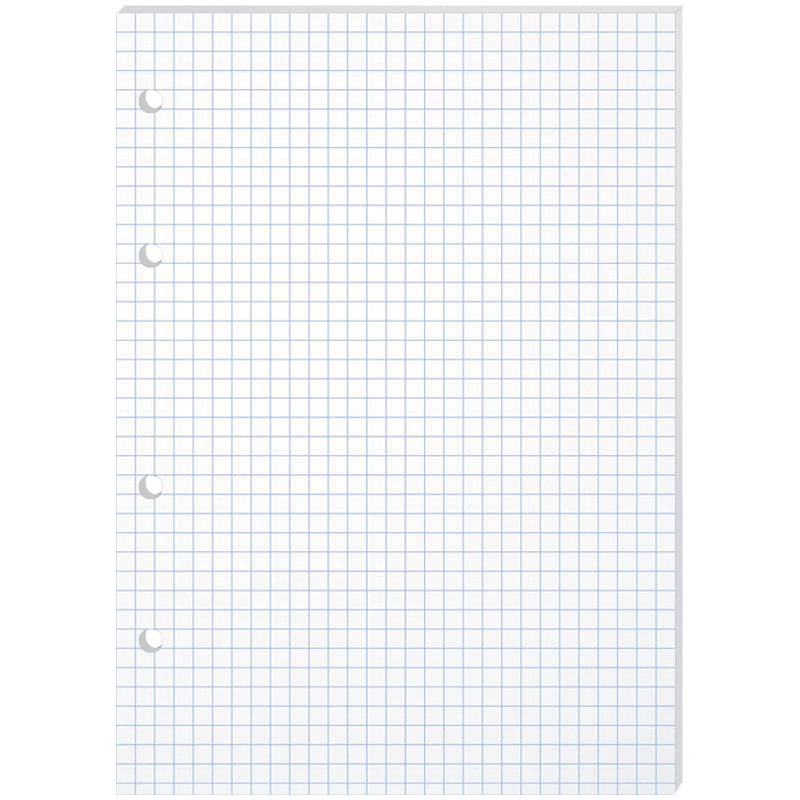 Сменный блок для тетрадей А5 белый 80л BG, , пленка т/у