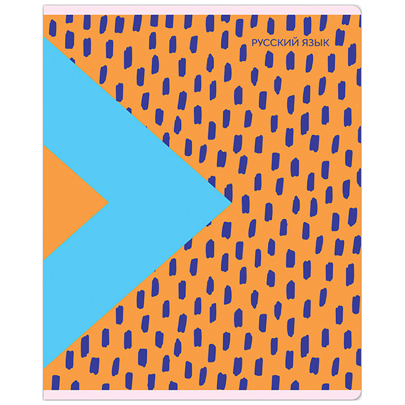 Тетрадь предметная Русский язык MESHU "Bright splash" матовая ламинация, выборочный УФ-лак