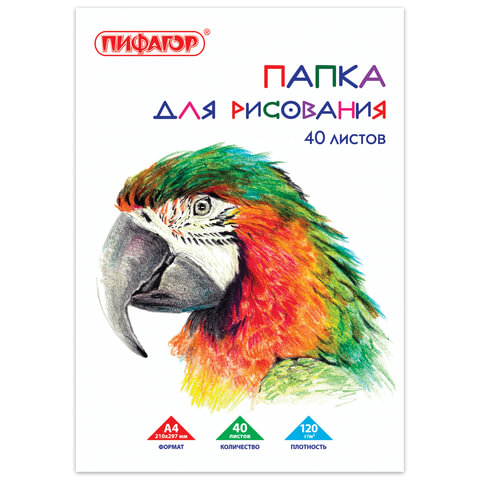 Папка для рисования, А4, 40 л., 120 г/м2, ПИФАГОР, 210х297 мм, "Попугай", 