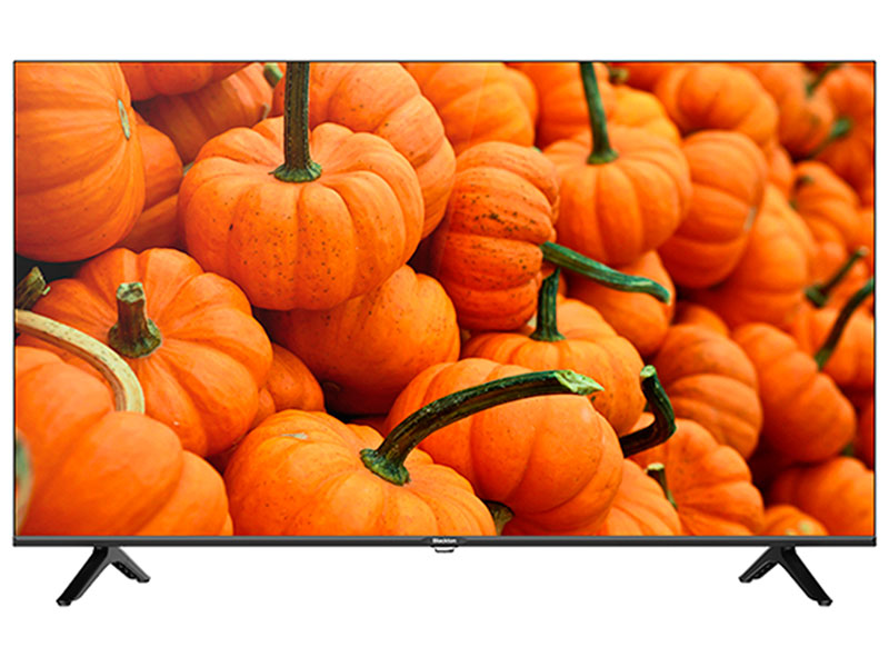 Телевизор LED 24” HD Blackton Bt 24F34B Black-Grey (РФ)