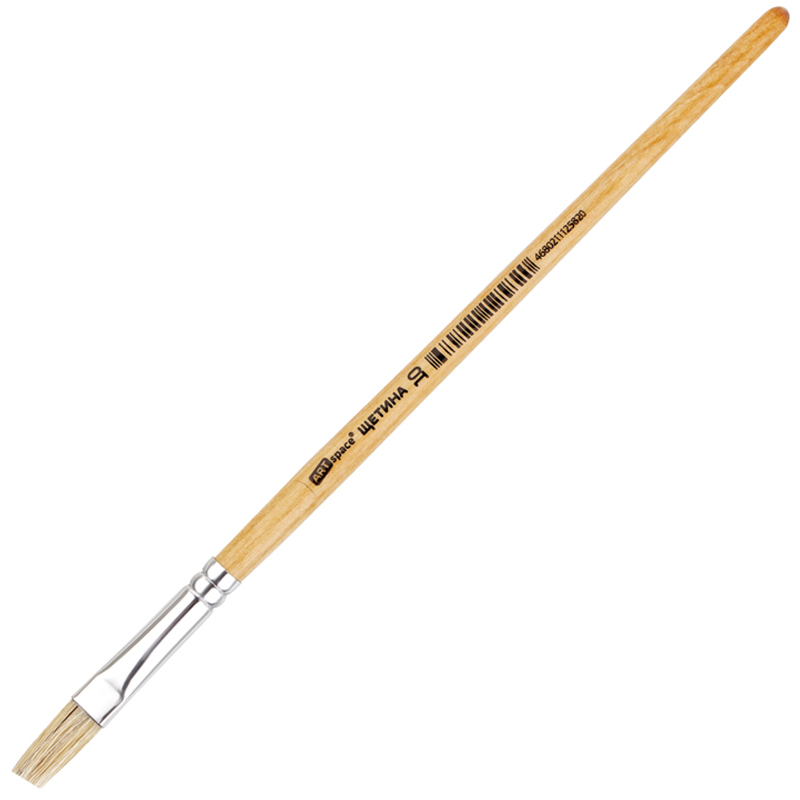 Кисть Щетина плоская №10 ArtSpace пакет, европодвес