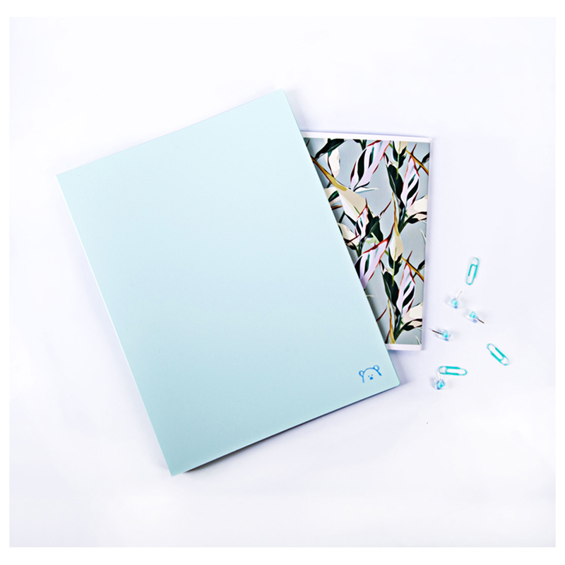 Папка с пружинным cкоросшивателем MESHU "Dew", 17мм, 500мкм, mint candy