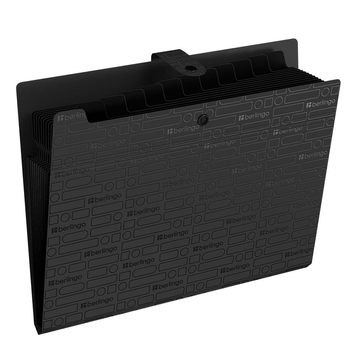 Папка 12 отделений Berlingo "Your Way", А4, 600мкм, на кнопке черная