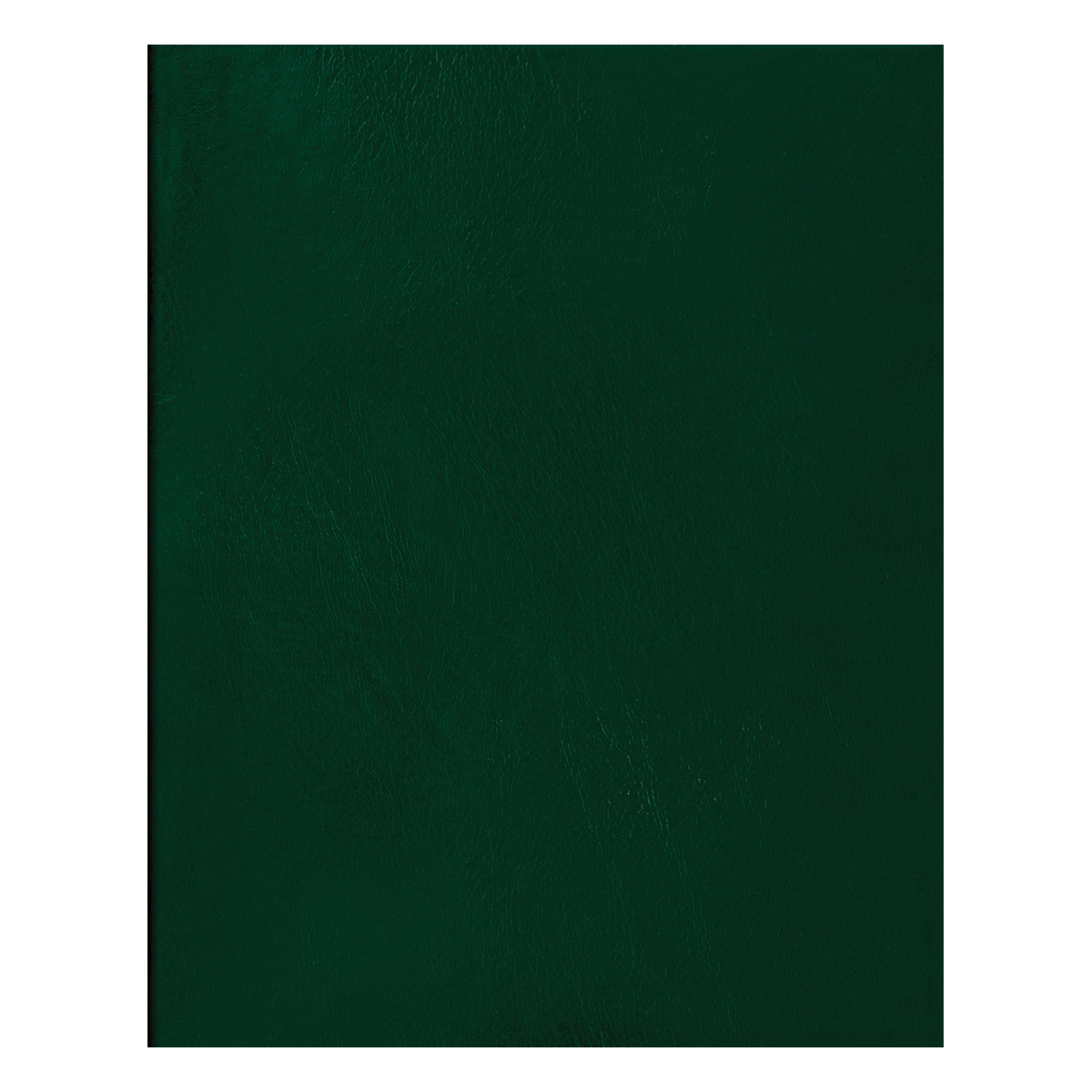 Тетрадь 48л., А5 клетка BG, бумвинил, зеленый