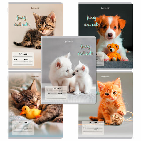 Тетрадь 12 л. BRAUBERG косая линия, обложка картон, CATS AND DOGS