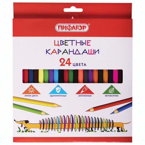 Карандаши цветные ПИФАГОР "Веселая такса", 24 цвета, шестигранные, натуральное дерево