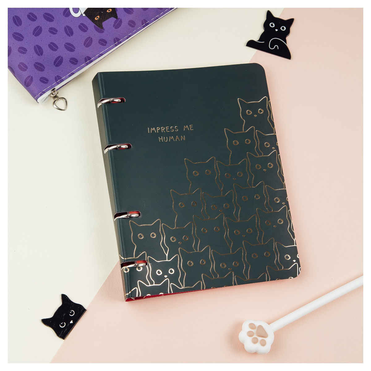 Тетрадь на кольцах А5, 100л., MESHU "Amazing cats", картон, матовая ламинация, выборочный УФ-лак MS_