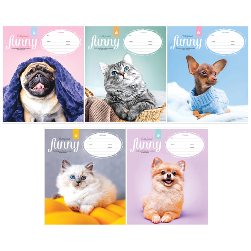 Тетрадь А5 12л кл ArtSpace "Питомцы. Funny pets", эконом