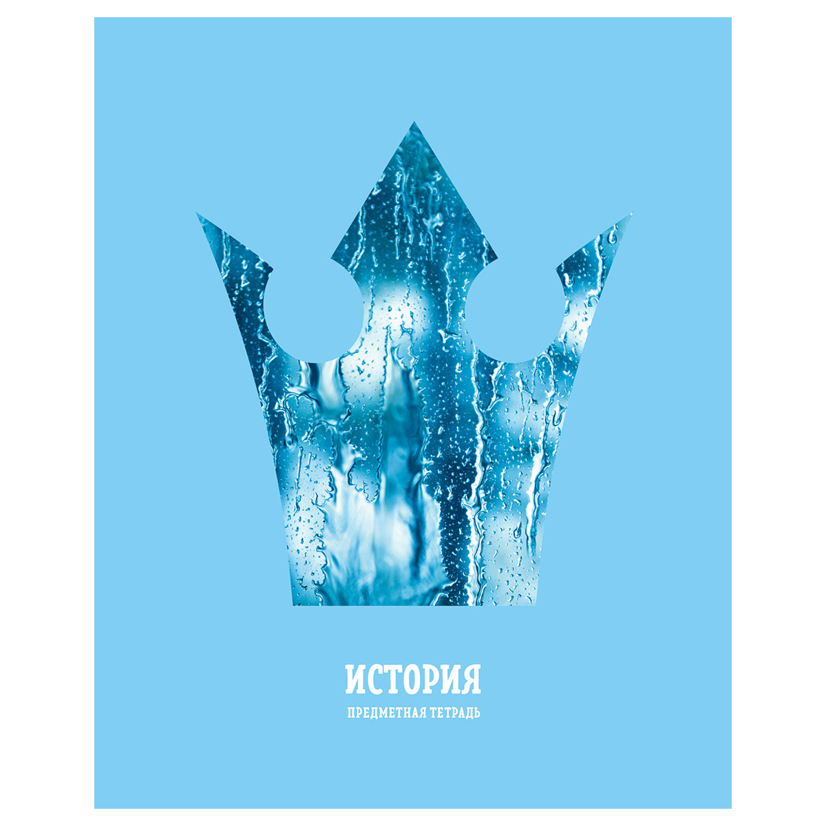 Тетрадь предметная История 48л. BG "Подсказки"  матовая ламинация, микро sandy-touch лак