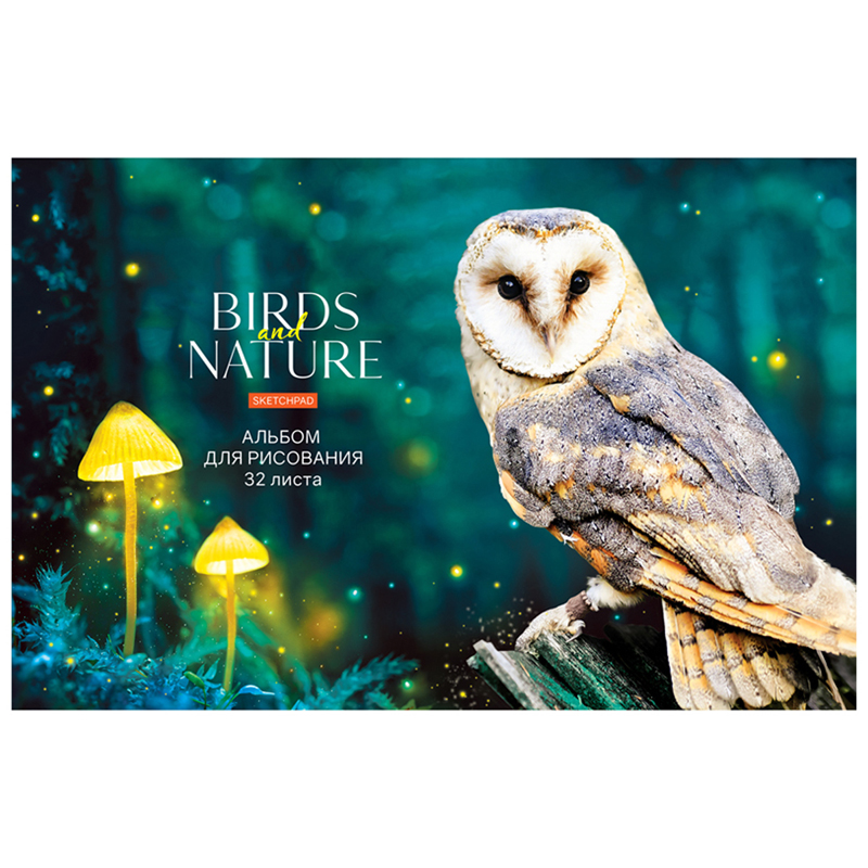 Альбом для рисования 32л А4 скрепка ArtSpace "Животные. Birds and nature"