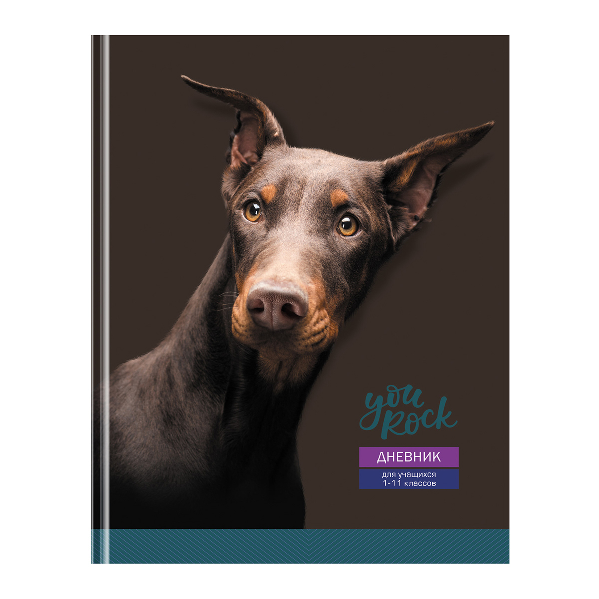 Дневник 1-11 кл. 48л. (твердый) BG "Ты крут", матовая ламинация, выб. лак 