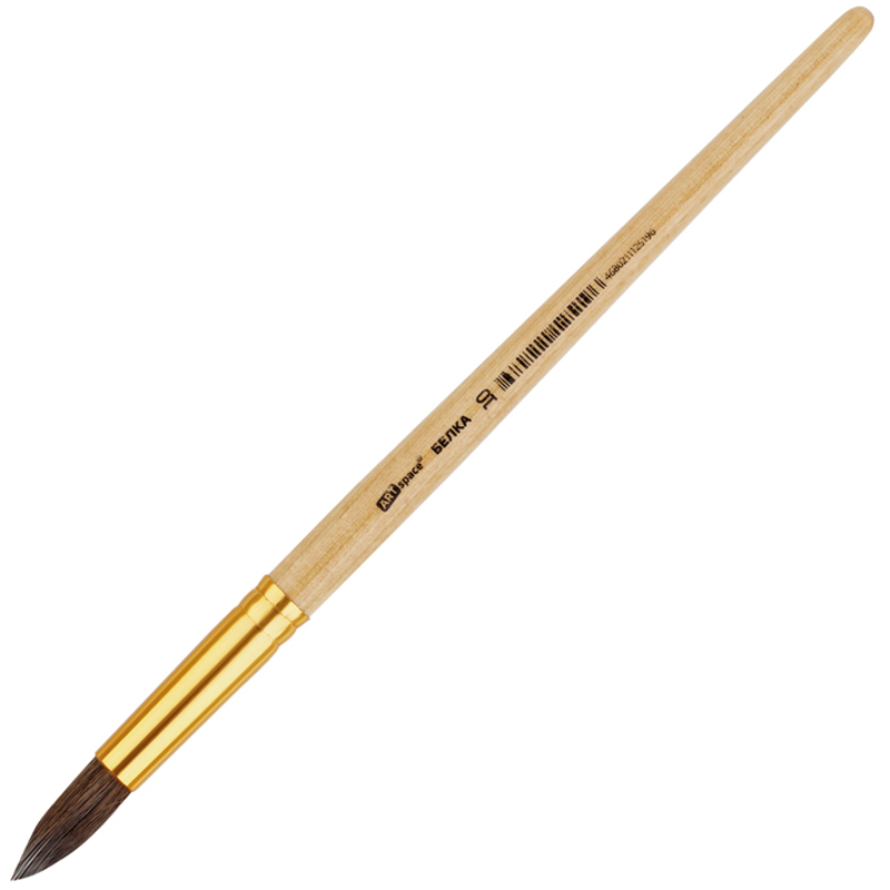 Кисть Белка круглая №10 ArtSpace пакет, европодвес