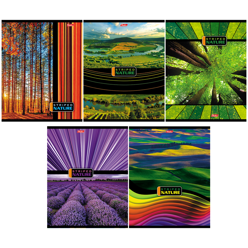 Тетрадь А5 24л лин Hatber "Freaky friends"