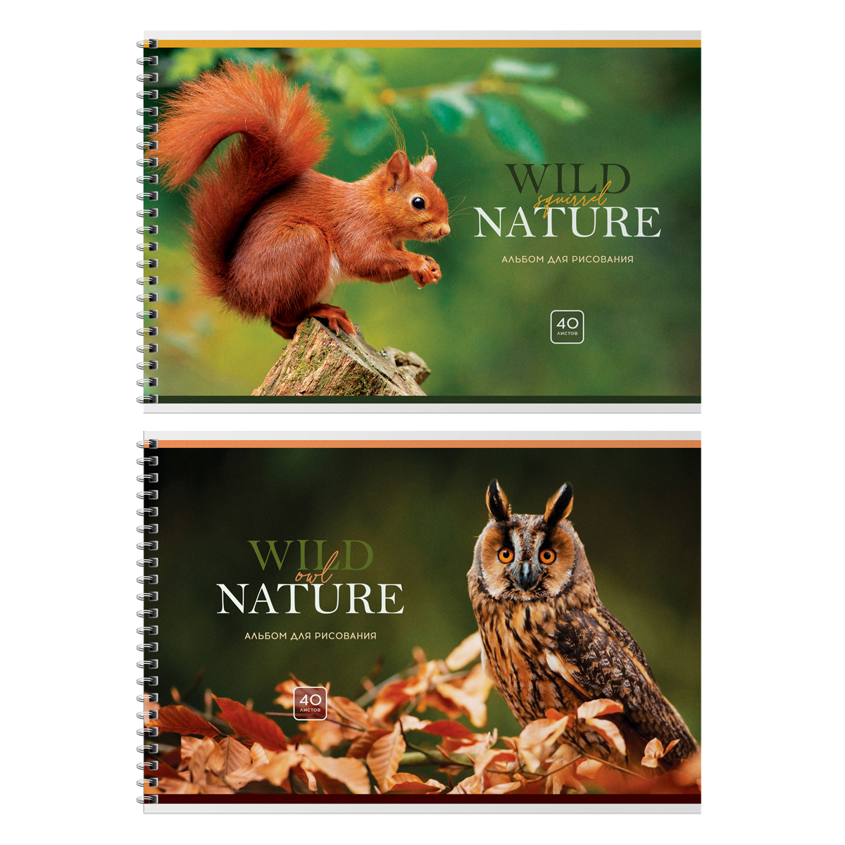 Альбом для рисования 40л А4 гребень BG "Wild nature"