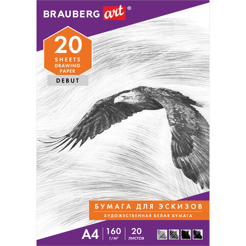 Папка для рисования А4 20л 160 г/м2, BRAUBERG, 210х297 мм, "Орел"