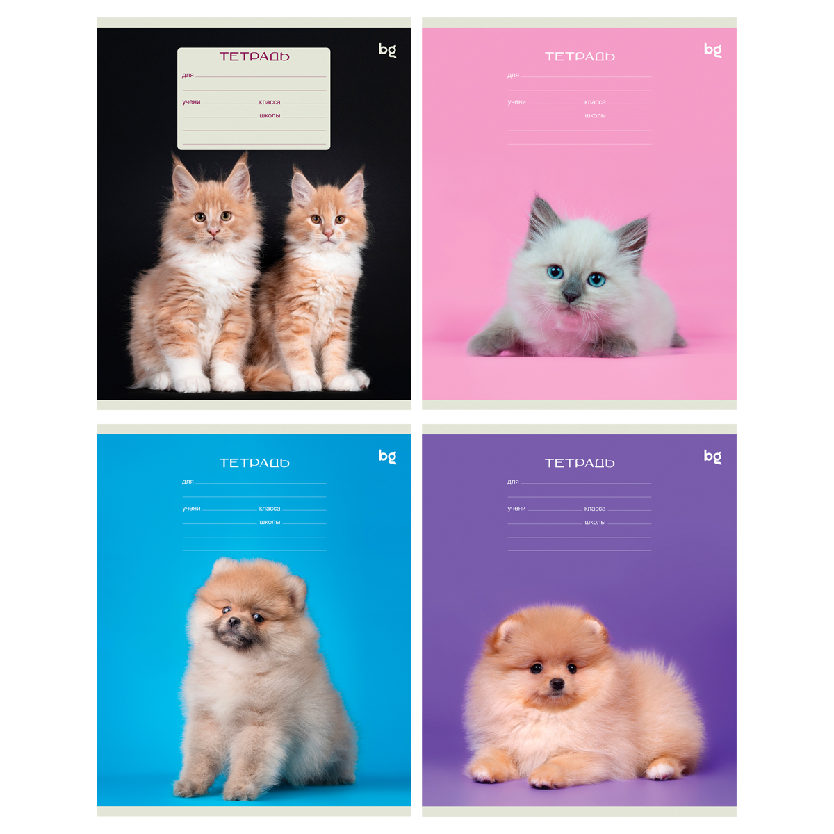 Тетрадь А5 18л кл BG "Котята"