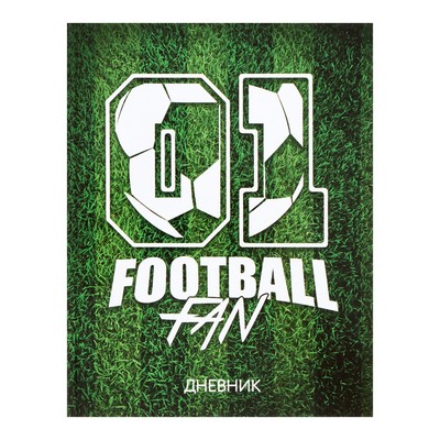 Дневник для 5-11 класса "Футбол", твёрдая обложка, глянцевая ламинация, 48 листов