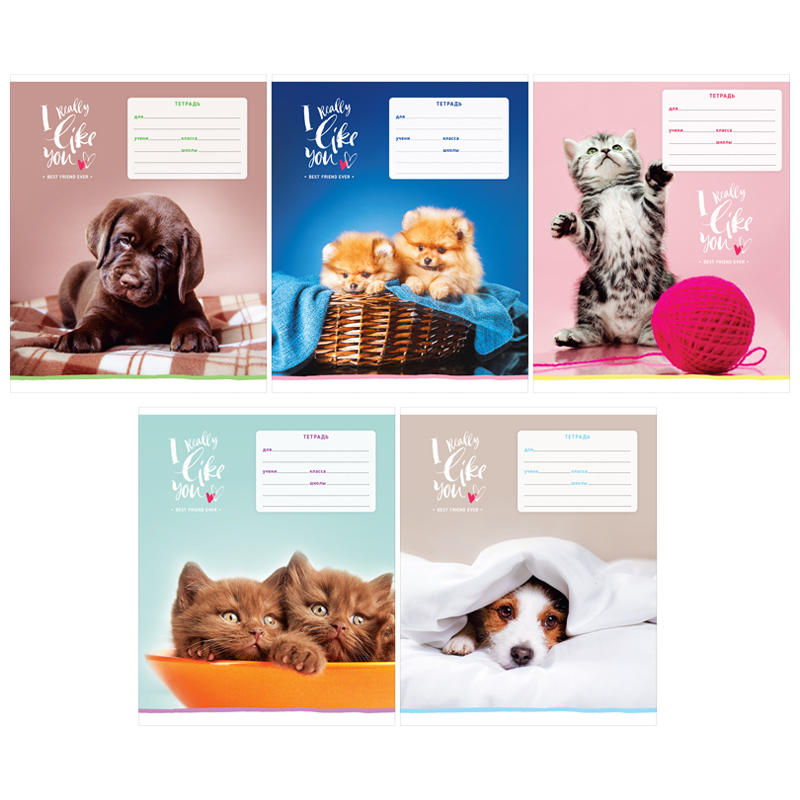 Тетрадь А5 12л кос/лин ART SPACE Питомцы. I really like