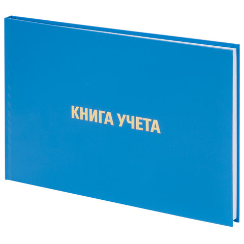 Книга учета 96 л., клетка, твердая, бумвинил, блок офсет, альбомный, А4 (203х290 мм), BRAUBERG