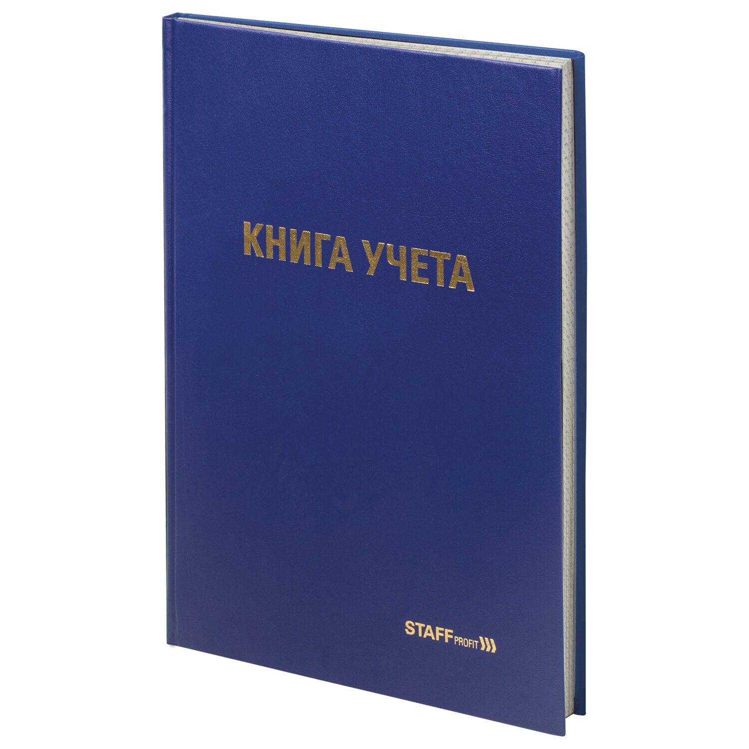 Книга учета 96 л., клетка, твердая, бумвинил, типографский блок, А4 (200х290 мм), STAFF