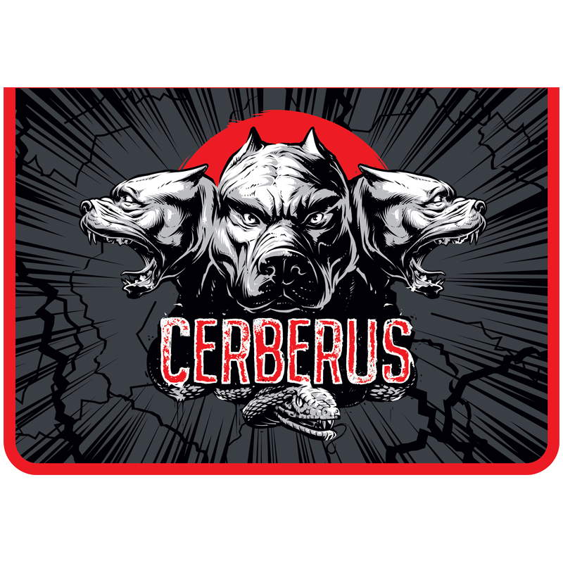 Папка для тетрадей 2 отделения А4 ArtSpace "Cerberus", пластик, на молнии