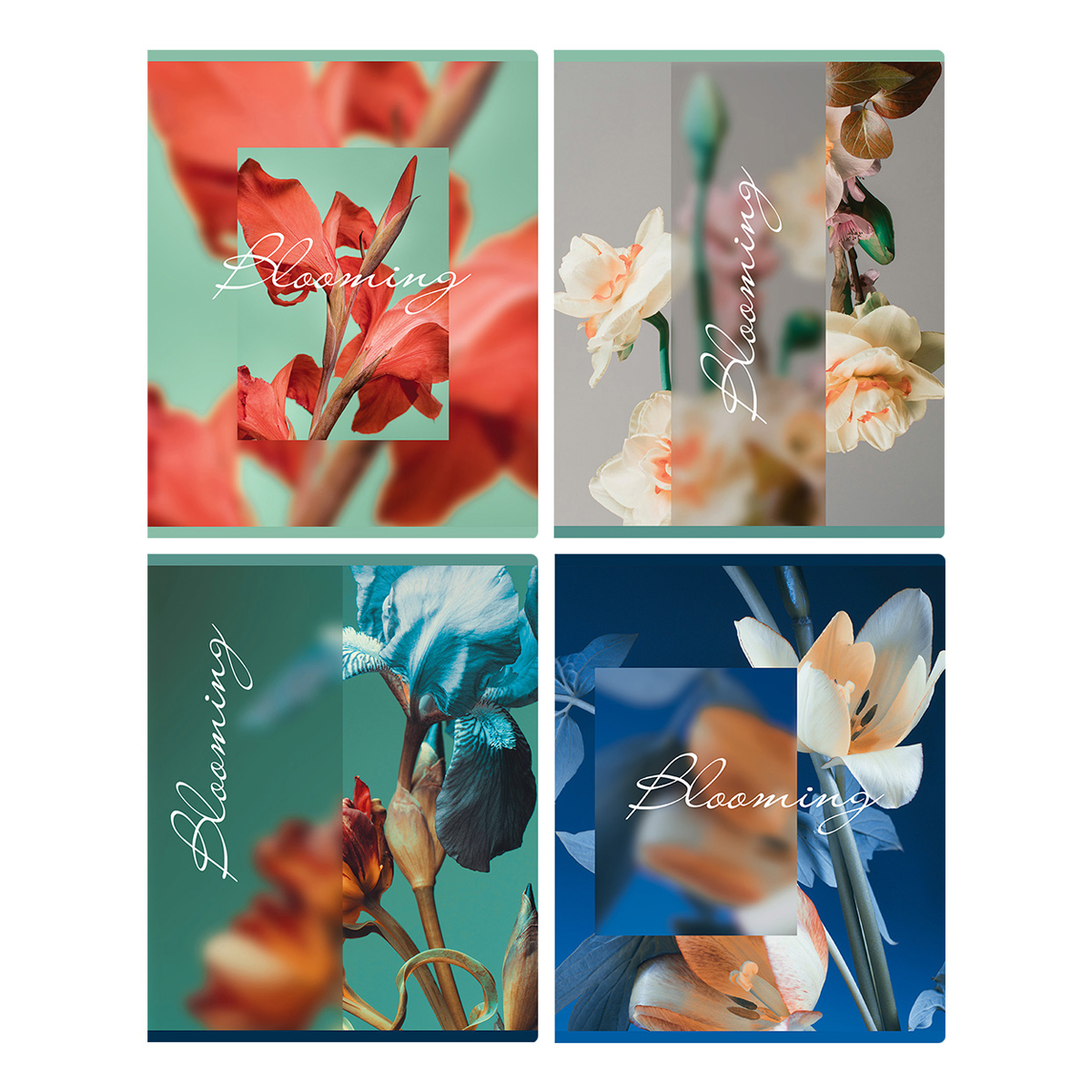 Тетрадь А5 48л кл BG "Blooming", матовая ламинация