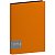 Папка 80 файлов А4 Berlingo "Color Zone" 30мм, 1000мкм оранжевая