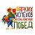 Магнит НГ винил ЯРКИХ УСПЕХОВ